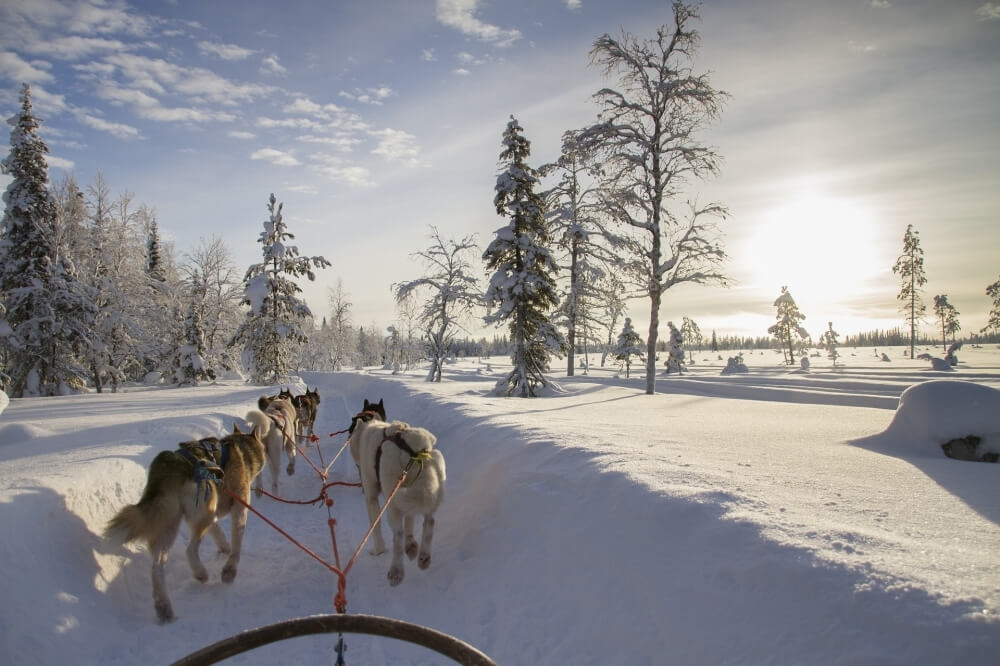 Ilustracja finland-2215323 1920